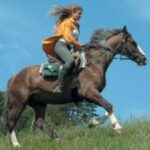 Eine Person in einer orangefarbenen Jacke reitet auf einem braunen Pferd mit einer grünen Satteltasche über eine Wiese unter blauem Himmel.