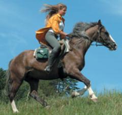 Eine Person in einer orangefarbenen Jacke reitet auf einem braunen Pferd mit einer grünen Satteltasche über eine Wiese unter blauem Himmel.