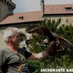 Ein Mann hält einen Raubvogel auf seinem behandschuhten Arm vor einer historischen Steinburg. Unten rechts erscheint der Text "ADLERWARTE KREUZENSTEIN".
