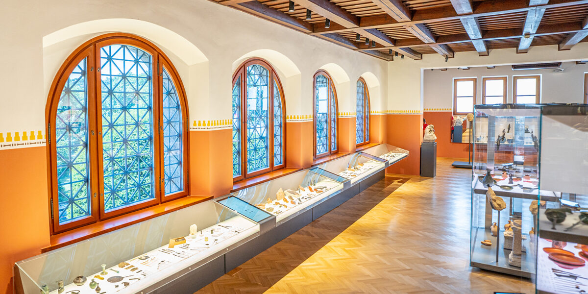 Ausstellungsraum des Museums mit großen Bogenfenstern, Holzfußboden und Vitrinen mit verschiedenen Artefakten an den Wänden und in der Mitte.