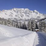 Schneebedeckte Landschaft mit einem Berg im Hintergrund, Kiefern, zwei kleinen Holzhütten und einem klaren blauen Himmel.
