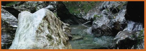 Ein kleiner Bach fließt zwischen großen Felsen und Geröll, gesäumt von Grün und zerklüftetem Terrain.