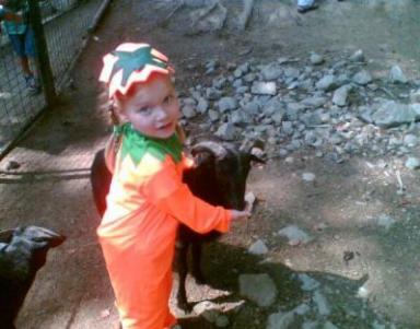 Ein kleines Kind in einem orangefarbenen Kürbiskostüm streichelt eine schwarze Ziege im Freien auf einem schmutzigen und felsigen Boden in der Nähe eines eingezäunten Geländes.