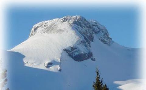 Schneebedeckter Berggipfel unter klarem blauen Himmel, mit einigen Bäumen am unteren Bildrand.