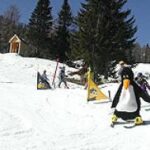 Eine Person in einem Pinguinkostüm fährt auf einer verschneiten Piste in der Nähe anderer Personen Ski, mit Bäumen und einer kleinen Holzhütte im Hintergrund.