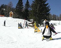 Eine Person in einem Pinguinkostüm fährt auf einer verschneiten Piste in der Nähe anderer Personen Ski, mit Bäumen und einer kleinen Holzhütte im Hintergrund.