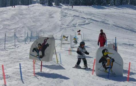 Ein Kind fährt auf Skiern durch einen verschneiten Parcours, der mit Cartoon-Pinguin-Schildern markiert ist, und wird von einem Erwachsenen in Rot beaufsichtigt.