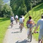 Eine Gruppe von Menschen fährt an einem sonnigen Tag mit dem Fahrrad einen Kiesweg entlang, der von grünem Gras und Bäumen umgeben ist.