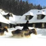 Zwei Menschen reiten auf Pferden durch den Schnee vor einem verschneiten Haus, mit Bäumen und einem Wald im Hintergrund unter blauem Himmel.