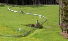 Zwei Personen fahren mit Ein-Personen-Karts eine kurvenreiche alpine Rutsche auf einem von Bäumen gesäumten Grashügel hinunter.