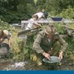Vier Personen suchen an einem Bach nach Gold, wobei jeder eine Pfanne benutzt, um Wasser und Sediment in einer üppigen, grünen Umgebung zu durchsuchen.