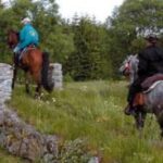 Zwei Menschen auf Pferden reiten über eine Wiese, einer überquert eine kleine Steinbrücke, der andere folgt. Im Hintergrund sind Bäume zu sehen.