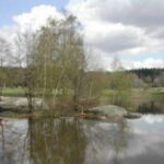 Eine kleine Gruppe von Menschen sitzt auf großen Felsen neben einem ruhigen, von Bäumen umgebenen Teich, in dessen Wasser sich bei bewölktem Himmel Spiegelungen abzeichnen.