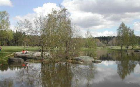 Eine kleine Gruppe von Menschen sitzt auf großen Felsen neben einem ruhigen, von Bäumen umgebenen Teich, in dessen Wasser sich bei bewölktem Himmel Spiegelungen abzeichnen.