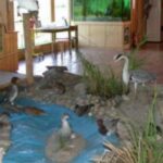 Innen-Diorama eines Feuchtgebiets mit Modellvögeln, einem blauen Bach, Felsen, Gras und informativen Schautafeln im Hintergrund.