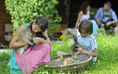 Zwei Kinder sitzen mit Kaninchen im Gras, eines hält ein Kaninchen, das andere einen Korb mit weiteren Kaninchen. Zwei Erwachsene sind unscharf im Hintergrund zu erkennen.