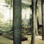 Museumsexponat mit realistischen Baumstämmen und einer Waldkulisse, in der präparierte Tiere und Waldlandschaften gezeigt werden.