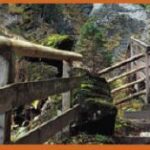 Ein hölzernes Geländer säumt einen Weg und eine Treppe durch ein bewaldetes Gebiet mit moosbewachsenen Felsen und Bäumen.