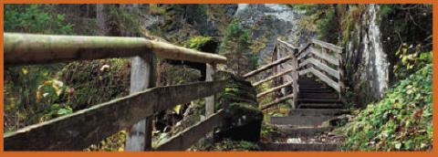 Ein hölzernes Geländer säumt einen Weg und eine Treppe durch ein bewaldetes Gebiet mit moosbewachsenen Felsen und Bäumen.