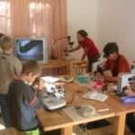 Fünf Kinder arbeiten mit Mikroskopen und anderen wissenschaftlichen Geräten an einem Tisch in einem gut beleuchteten Raum, während ein Kind ein Bild auf einem Fernsehbildschirm betrachtet.