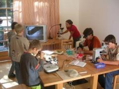 Fünf Kinder arbeiten mit Mikroskopen und anderen wissenschaftlichen Geräten an einem Tisch in einem gut beleuchteten Raum, während ein Kind ein Bild auf einem Fernsehbildschirm betrachtet.