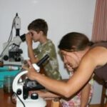 Zwei Personen schauen durch Mikroskope an einem Tisch mit Probengläsern in einem gut beleuchteten Raum mit Fenster.