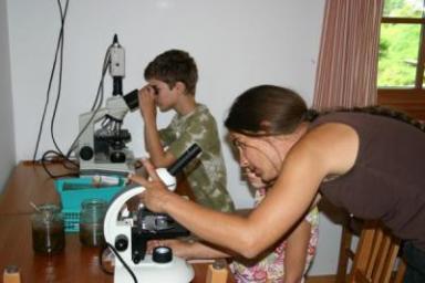 Zwei Personen schauen durch Mikroskope an einem Tisch mit Probengläsern in einem gut beleuchteten Raum mit Fenster.