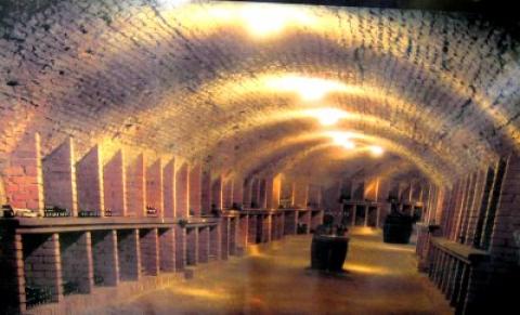 Ein Weinkeller mit gemauerten Bögen, in dem die Flaschen in Regalen an den Wänden ausgestellt sind und von der Deckenbeleuchtung beleuchtet werden.