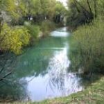 Ein schmaler, ruhiger Fluss, umgeben von grünen Bäumen und Sträuchern, mit Gras am Ufer im Vordergrund unter einem bedeckten Himmel.