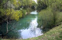 Ein schmaler, ruhiger Fluss, umgeben von grünen Bäumen und Sträuchern, mit Gras am Ufer im Vordergrund unter einem bedeckten Himmel.