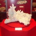 Ein großes, weißes Mineral mit stacheligen Kristallformationen wird auf einem roten Podest in einer Museumsumgebung ausgestellt.