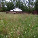 Ein weißes Zelt mit spitzem Dach steht hinter einem Holzzaun auf einem grasbewachsenen Feld mit Bäumen im Hintergrund.