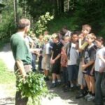Ein Mann hält Pflanzen und spricht mit einer Gruppe von Kindern, die bei Tageslicht auf einem Waldweg stehen.