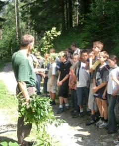 Ein Mann hält Pflanzen und spricht mit einer Gruppe von Kindern, die bei Tageslicht auf einem Waldweg stehen.