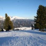 Schneebedeckte Landschaft mit Skispuren, Kiefern und Bergen im Hintergrund unter einem klaren blauen Himmel.