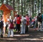 Eine Gruppe von Menschen steht auf einem Waldweg und hört einem Führer an einer hölzernen Informationstafel zu.