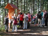 Eine Gruppe von Menschen steht auf einem Waldweg und hört einem Führer an einer hölzernen Informationstafel zu.