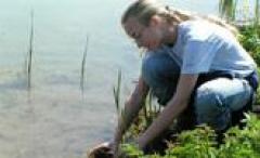 Eine Person mit langen blonden Haaren, die zu einem Zopf geflochten sind, hockt am Rande eines Teiches und streckt ihre Hände ins Wasser.