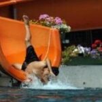 Eine Person in schwarzer Badehose verlässt kopfüber eine orangefarbene Wasserrutsche und spritzt in ein Becken; im Hintergrund sind Blumen in Pflanzgefäßen zu sehen.