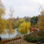 Eine Parklandschaft mit herbstlichen Bäumen, einem kleinen See und einem von einem Holzzaun gesäumten Spazierweg unter einem bewölkten Himmel.