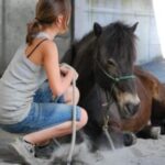 Eine junge Person in einem grauen Tank-Top und Jeansshorts sitzt auf dem Boden und hält ein Seil neben einem braunen Pferd, das in einer Halle liegt.