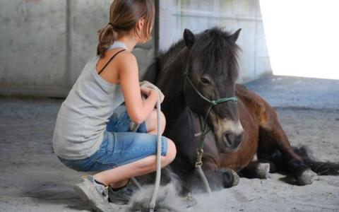 Eine junge Person in einem grauen Tank-Top und Jeansshorts sitzt auf dem Boden und hält ein Seil neben einem braunen Pferd, das in einer Halle liegt.