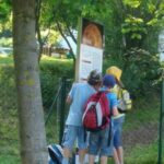 Drei Kinder mit Rucksäcken stehen im Freien und lesen ein Informationsschild unter Bäumen.