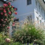 Ein zweistöckiges weißes Haus mit mehreren Fenstern, einem Rosenstrauch mit rosa Blüten, Ziergras und anderen Pflanzen im Vorgarten.