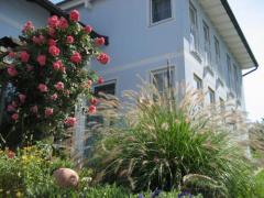 Ein zweistöckiges weißes Haus mit mehreren Fenstern, einem Rosenstrauch mit rosa Blüten, Ziergras und anderen Pflanzen im Vorgarten.