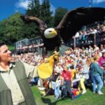 Ein Mann hält einen Adler vor einer Menschenmenge.