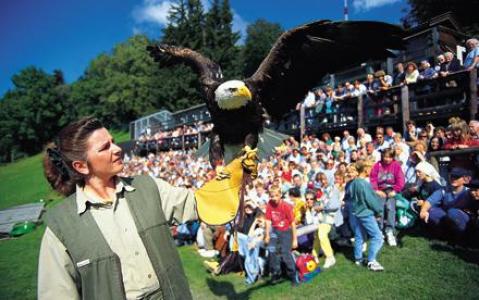 Ein Mann hält einen Adler vor einer Menschenmenge.