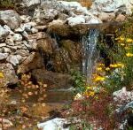Ein kleiner Wasserfall fließt über Felsen, umgeben von gelben Wildblumen und grünem Laub.