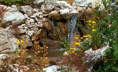 Ein kleiner Wasserfall fließt über Felsen, umgeben von gelben Wildblumen und grünem Laub.
