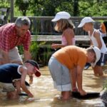 Ein Erwachsener und vier Kinder suchen an einem sonnigen Tag im Freien in einem seichten, schlammigen Bach nach etwas.